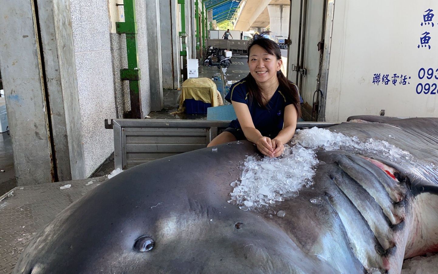 Debbie preserving a Megamouth shark.