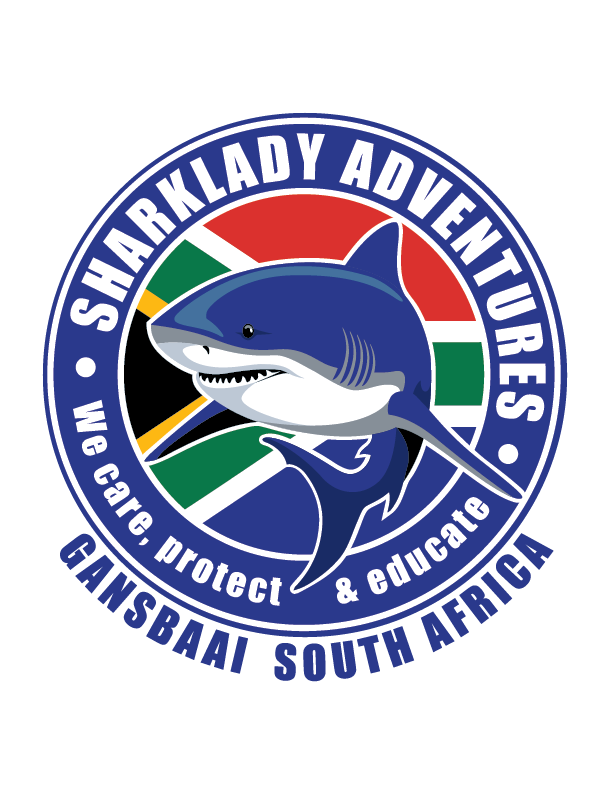 Sharklady Adventures